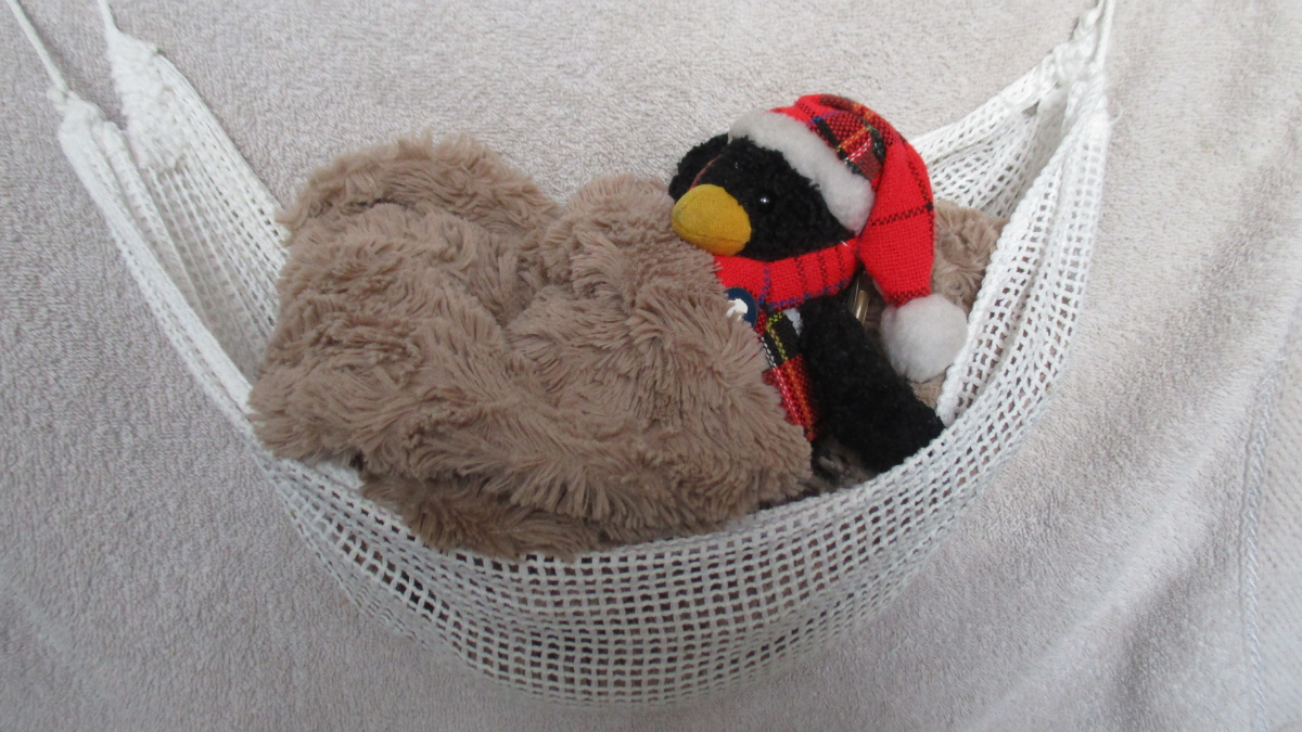 Travel Companion Penguin Teddy in a Hammock Suggesting Types of Accommodation